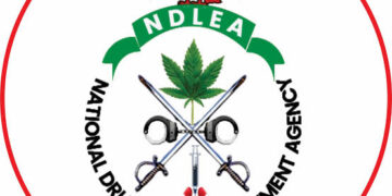 Woman Fakes Pregnancy, Nabbed by NDLEA With 3,200 Tramadol Capsules