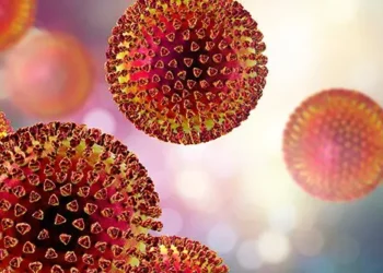 Doctor, Three Others Die of Lassa Fever in Plateau