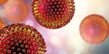 Doctor, Three Others Die of Lassa Fever in Plateau