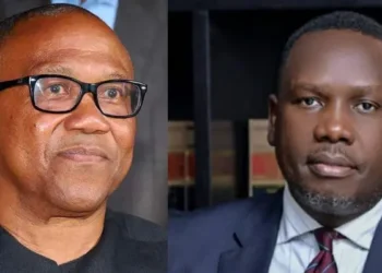 Bwala Alleges Obi Used Obasanjo to Approach Him Before 2023 Poll