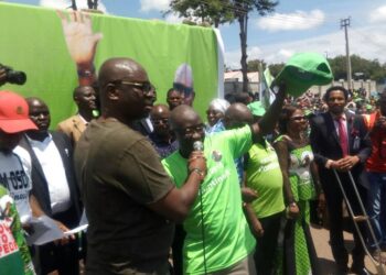 Fayose mobilises Ekiti for Tinubu’s re-election bid