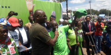Fayose mobilises Ekiti for Tinubu’s re-election bid