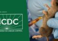 NCDC: Lassa Fever Outbreak Kills 75 Nigerians, Infects 5 Healthcare Workers