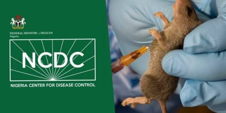 NCDC: Lassa Fever Outbreak Kills 75 Nigerians, Infects 5 Healthcare Workers