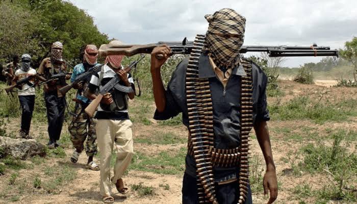 Kaduna Community Attacked by Bandits, One Killed and Seven Abducted