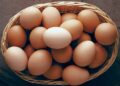 Court jails Farm manager for stealing eggs