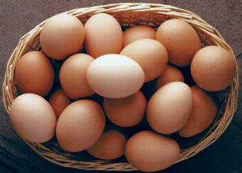 Court jails Farm manager for stealing eggs