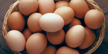 Court jails Farm manager for stealing eggs