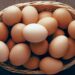 Court jails Farm manager for stealing eggs