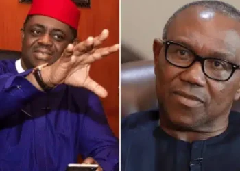 “Peter Obi, Kwankwaso Alliance Won’t Last” — Femi Fani-Kayode