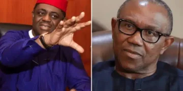 “Peter Obi, Kwankwaso Alliance Won’t Last” — Femi Fani-Kayode