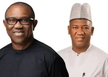 2027: Datti Baba-Ahmed Fires At Peter Obi, Says ‘Stay In Your House’